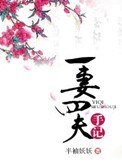 《一妻四夫手记》