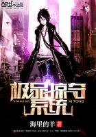 《极品掠夺系统》