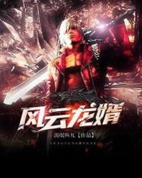 《风云龙婿》