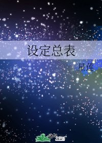 《设定总表》