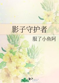 《影子守护者》