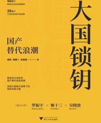 大国锁钥：国产替代浪潮（出版书）