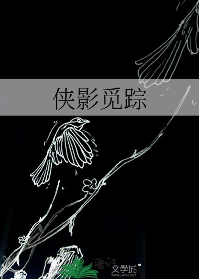 侠影觅踪